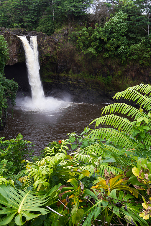 Hawaii - 068.jpg